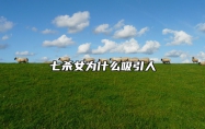 七杀女为什么吸引人 七杀女是不是很惨