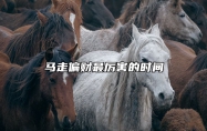 马走偏财最厉害的时间 属马人的偏财怎么样