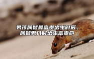 男孩属鼠最富贵出生时辰，属鼠男几时出生富贵命 属鼠男孩几时几分出生最好