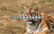 2010虎是木命还是金命 2010出生的属什么虎