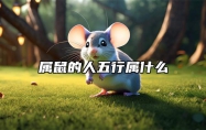 属鼠的人五行属什么 属鼠对应的五行颜色