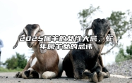 2025属羊的女性大忌，蛇年属羊女的忌讳 属羊今年多大岁数2020属羊女和属:蛇男可以吗