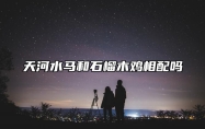 天河水马和石榴木鸡相配吗 天河水马的命运如何