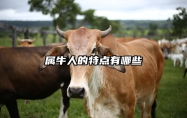 属牛人的特点有哪些