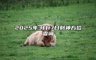2025年3月17日财神方位查询 适合的黄道吉日