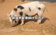 属猪不能要属什么孩子 属猪的适合要个属什么的孩子