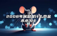 2008年属鼠是什么命金木水火土 2008年的鼠是什么命金木水火土