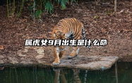 属虎女9月出生是什么命 属虎的女人九月出生的好不好