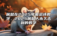 属鼠在2025年最忌讳数字，2025属鼠人永久吉利的数字 属鼠的2025年财运各方面怎么样?