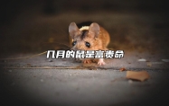 几月的鼠是富贵命 属鼠人一生最旺3个人