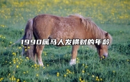 1990属马人发横财的年龄 1990年是苦命马还是富马
