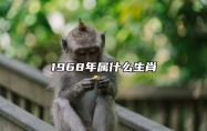 1968年属什么生肖 1968年属什么生肖属相