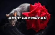 属鼠开什么颜色的车子最好