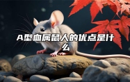 A型血属鼠人的优点是什么