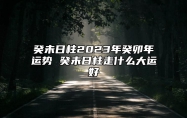 癸未日柱2023年癸卯年运势 癸未日柱走什么大运好