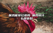 属鸡能穿红色吗 属鸡穿什么颜色好 属鸡穿红色衣服好不好