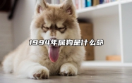1994年属狗是什么命 1994年属狗是木命还是火命