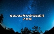 在2023年父亲节生的孩子命运 性格为稳重逻辑能力强