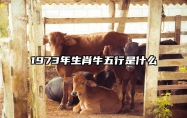 1973年生肖牛五行是什么？