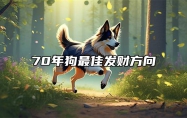 70年狗最佳发财方向 狗的最佳三个贵人属相