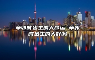 辛卯时出生的人命运 辛卯时出生的人好吗