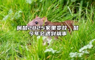 属鼠2025家里变故，鼠今年会遇到祸事 属鼠人2025年全年运势详解