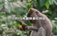 2025年属猴最旺颜色 2025年属猴最旺颜色手机壳