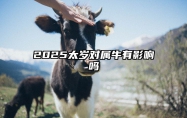 2025太岁对属牛有影响吗？