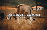 炉中火命的人一生运势旺吗 