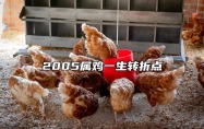 2005属鸡一生转折点 2025年属鸡有两喜缠身