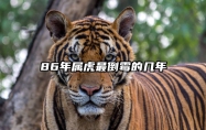 86年属虎最倒霉的几年 86年属虎最难的几年