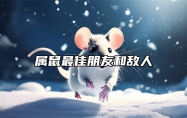 属鼠最佳朋友和敌人 属鼠的朋友