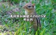 不同年份属鼠人2025全年运势