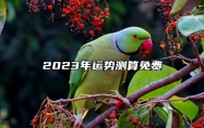 2023年运势测算免费 五行属水运程好