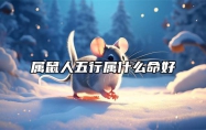 属鼠人五行属什么命好