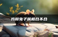 鸡和兔子属相合不合 鸡和兔子属相相合吗
