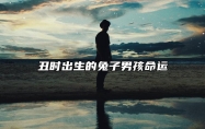 丑时出生的兔子男孩命运 兔男宝宝十二时辰出生命运