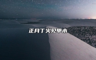正月丁火见甲木 正月丁火 甲木当权 乃为母旺