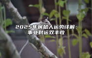 2025年属鼠人运势详解：事业财运双丰收 属鼠2025年运势及运程详解