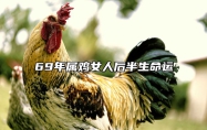 69年属鸡女人后半生命运 1969年鸡晚年与子女关系如何