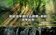 紫微流年是什么意思 紫微流年运势