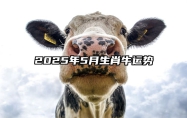 2025年5月生肖牛运势