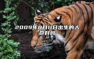 2009年8月11日出生的人命好吗 八字事业、感情婚姻、健康等运势详解