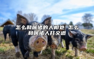 怎么和属猪的人相处 怎么和属猪人打交道 跟属猪的人怎样聊天