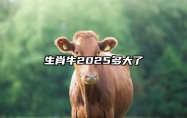 生肖牛2025多大了 2009属牛2025年运势完整版