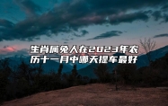 生肖属兔人在2023年农历十一月中哪天提车最好？