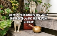 属牛人今年财运在哪方向2023属牛人2023年如何旺财运