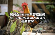 属鸡在2025年最忌讳数字，2025属鸡人永久吉利的数字 2025年属鸡的是什么命