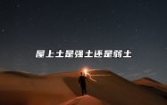 屋上土是强土还是弱土 屋上土命是什么命