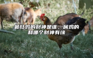 最旺鸡的财神是谁，属鸡的和哪个财神有缘 属鸡的财神位于哪个位置?